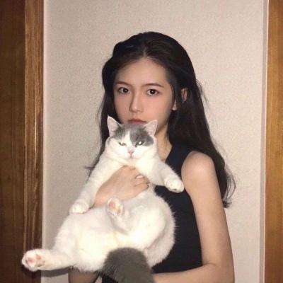 雄才三国游戏下载
